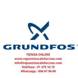 BOMBA GRUNDFOS MAGNA3 32-40 F